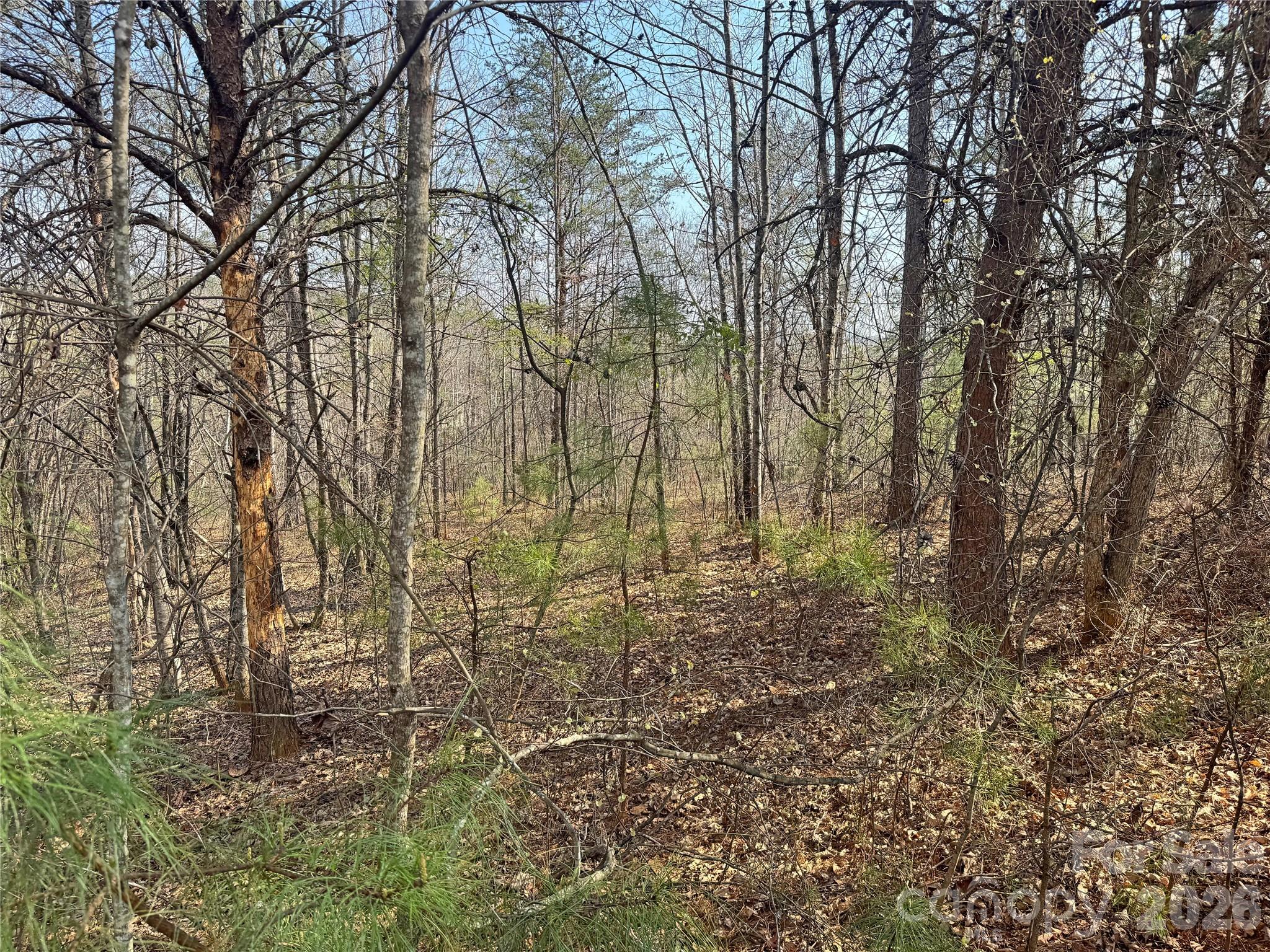 Ville Amberwood Place Rutherfordton NC 28139