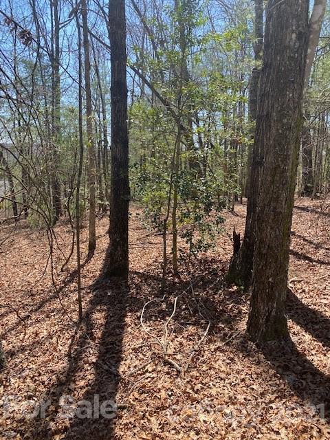 262 Sherwood Ridge Road Brevard NC 28712