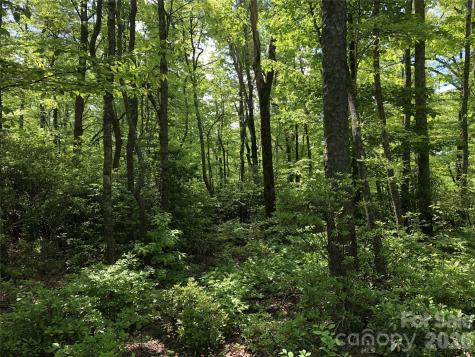 0 Millard Crossing Hendersonville NC 28792