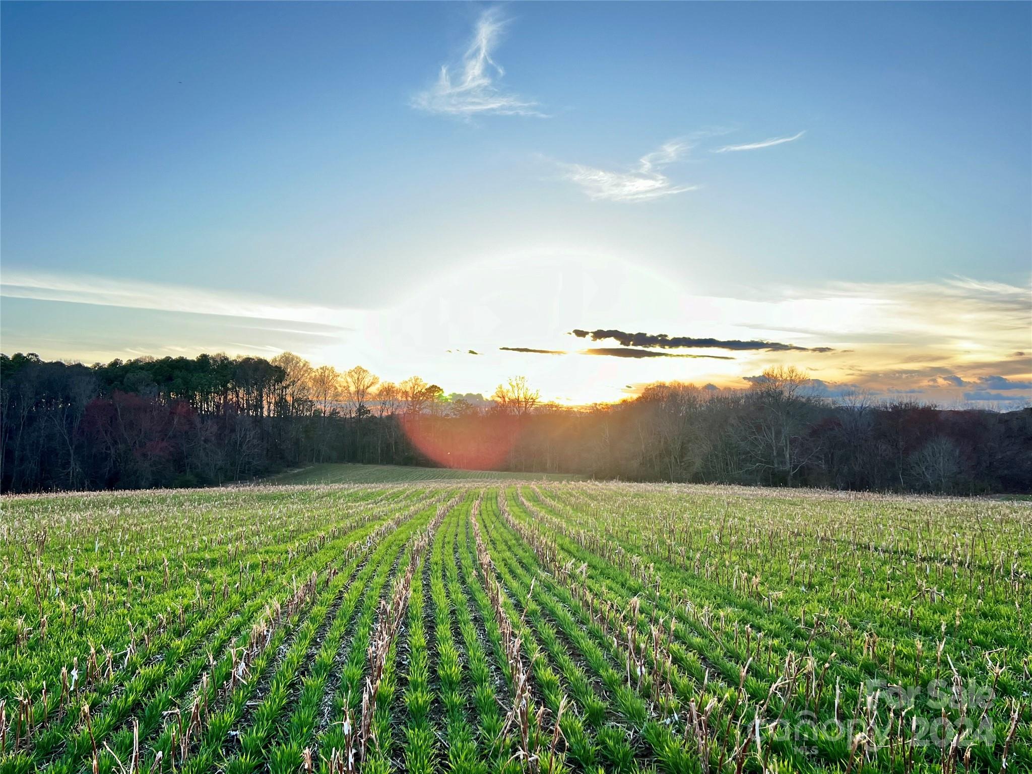 82AC Friendship Road Statesville NC 28625