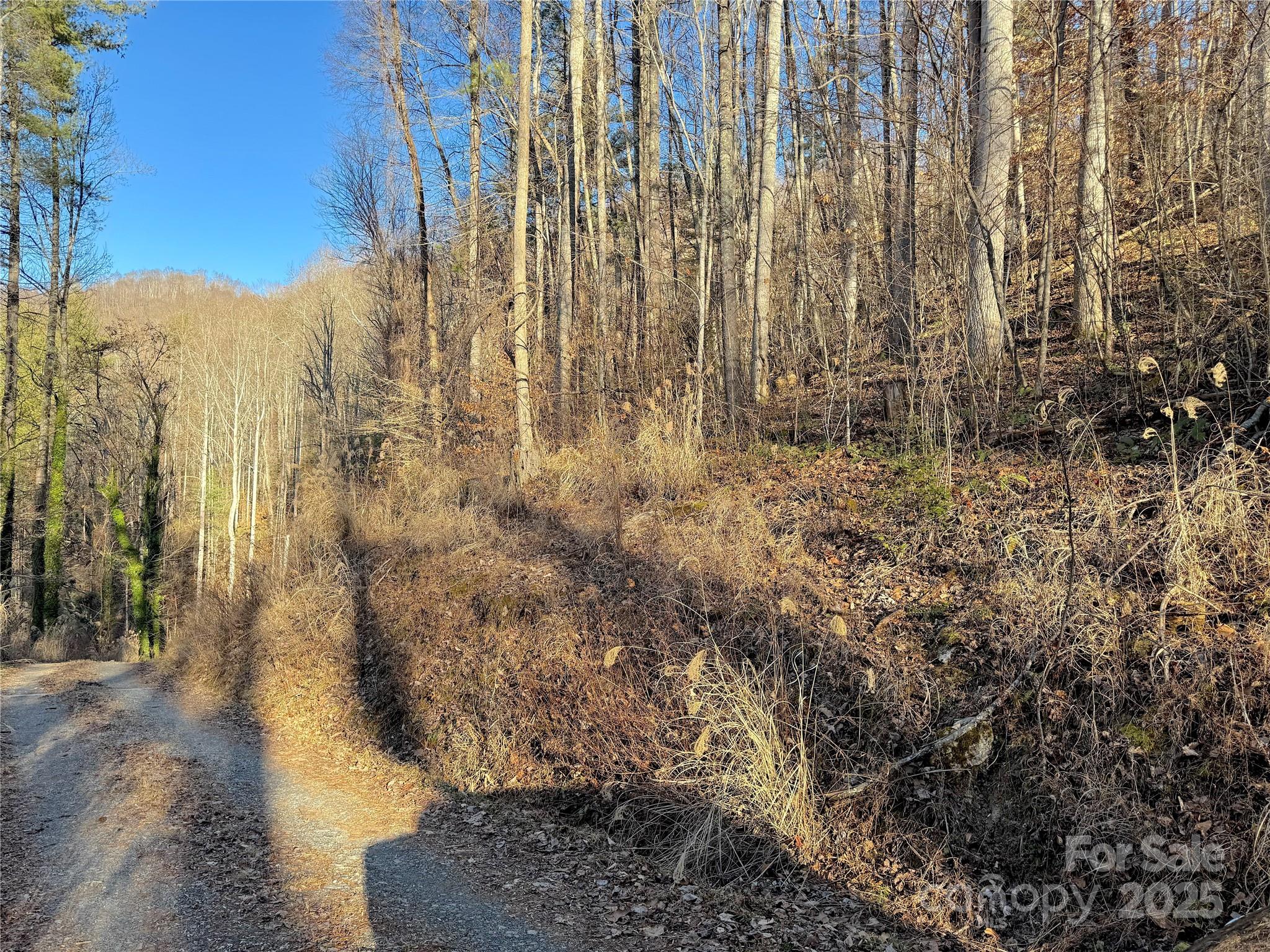Tbd Timberside Drive Mars Hill NC 28754