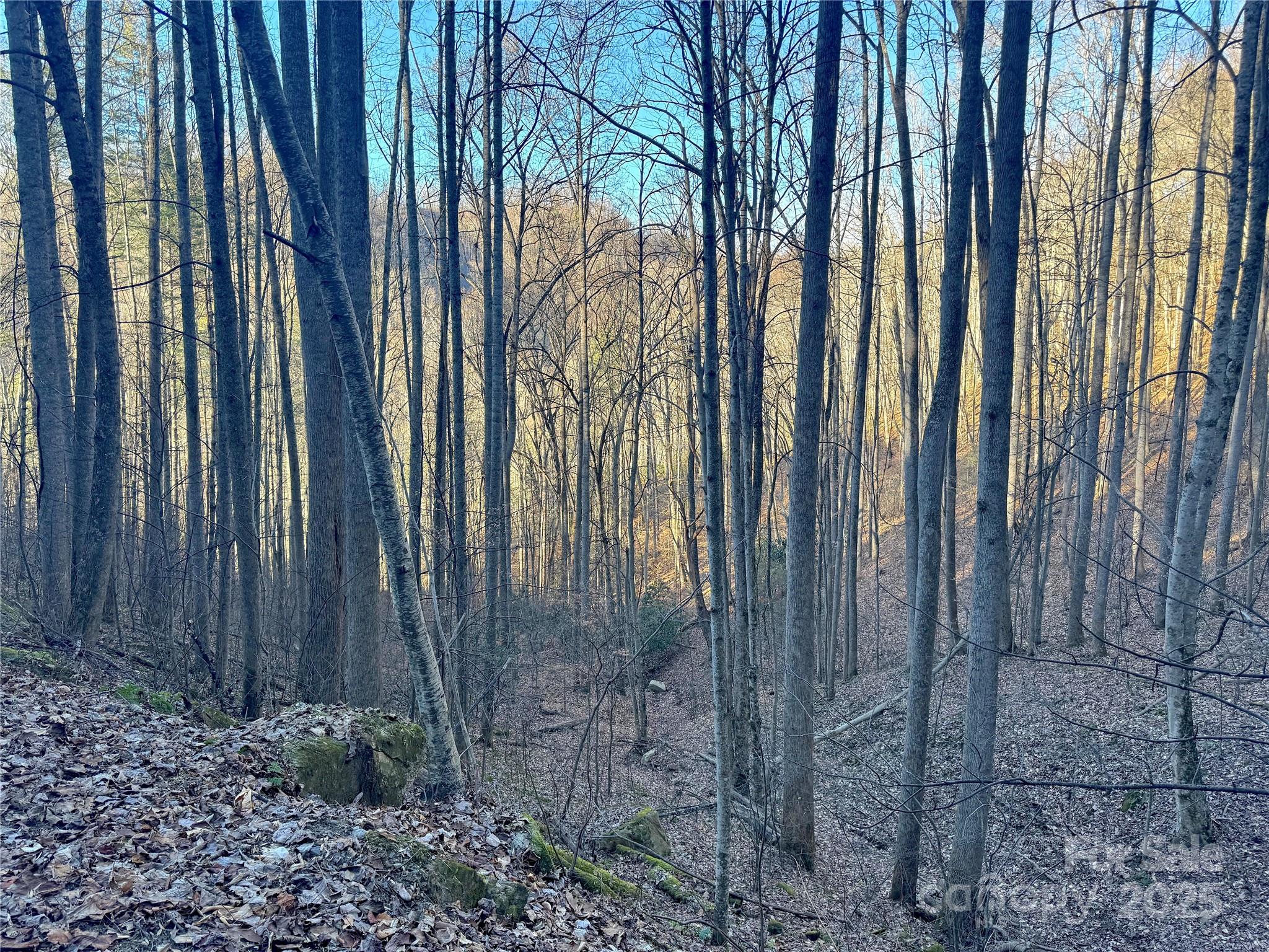Tbd Timberside Drive Mars Hill NC 28754