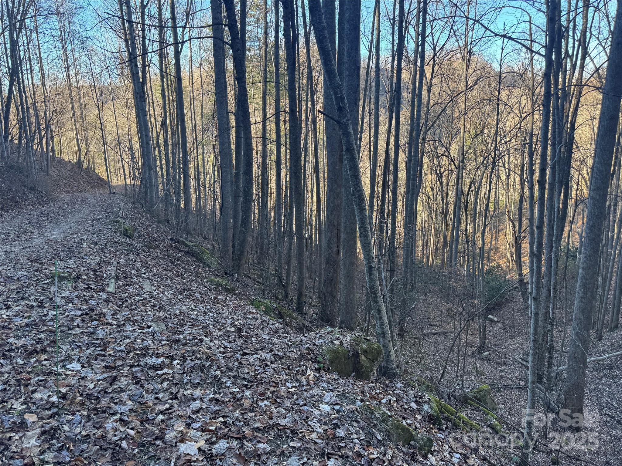 Tbd Timberside Drive Mars Hill NC 28754