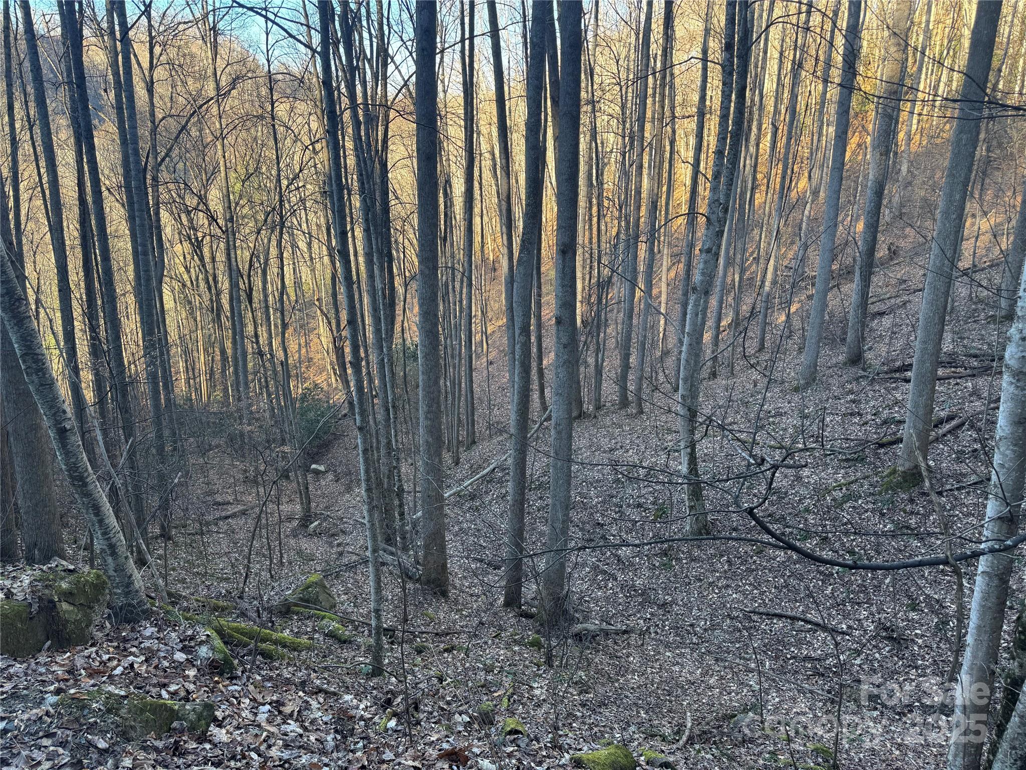 Tbd Timberside Drive Mars Hill NC 28754