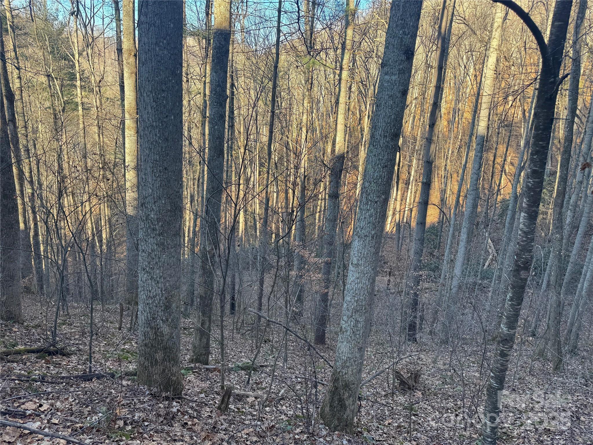 Tbd Timberside Drive Mars Hill NC 28754