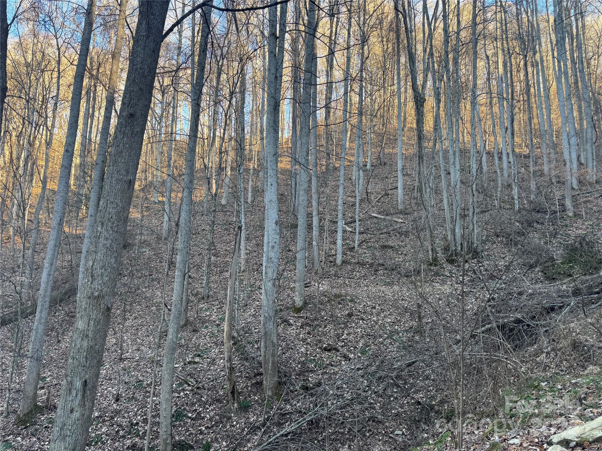 Tbd Timberside Drive Mars Hill NC 28754