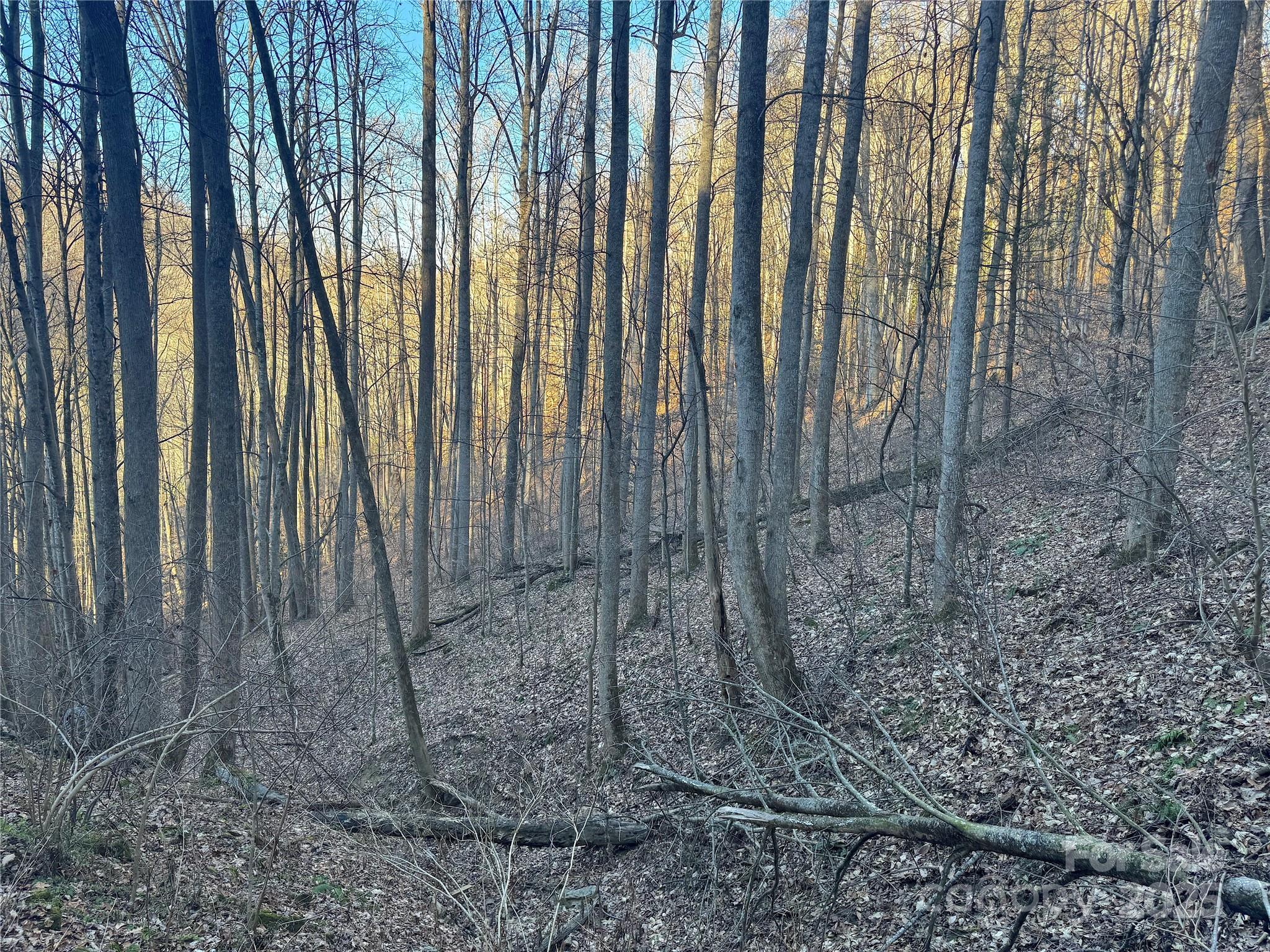 Tbd Timberside Drive Mars Hill NC 28754