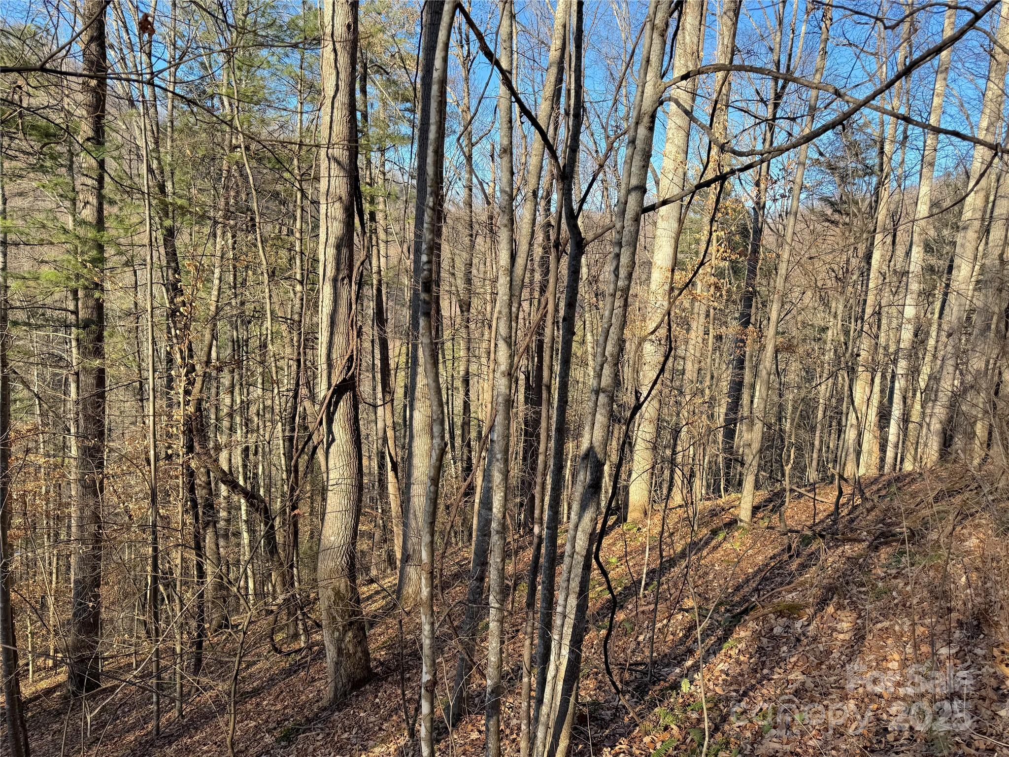 Tbd Timberside Drive Mars Hill NC 28754