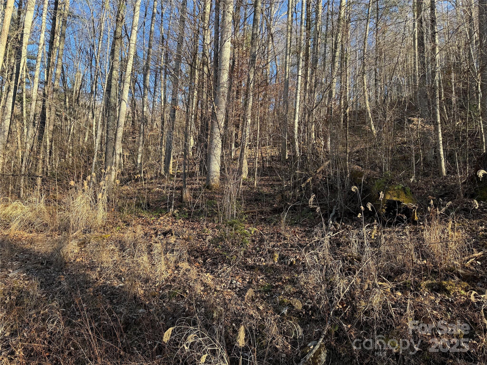 Tbd Timberside Drive Mars Hill NC 28754