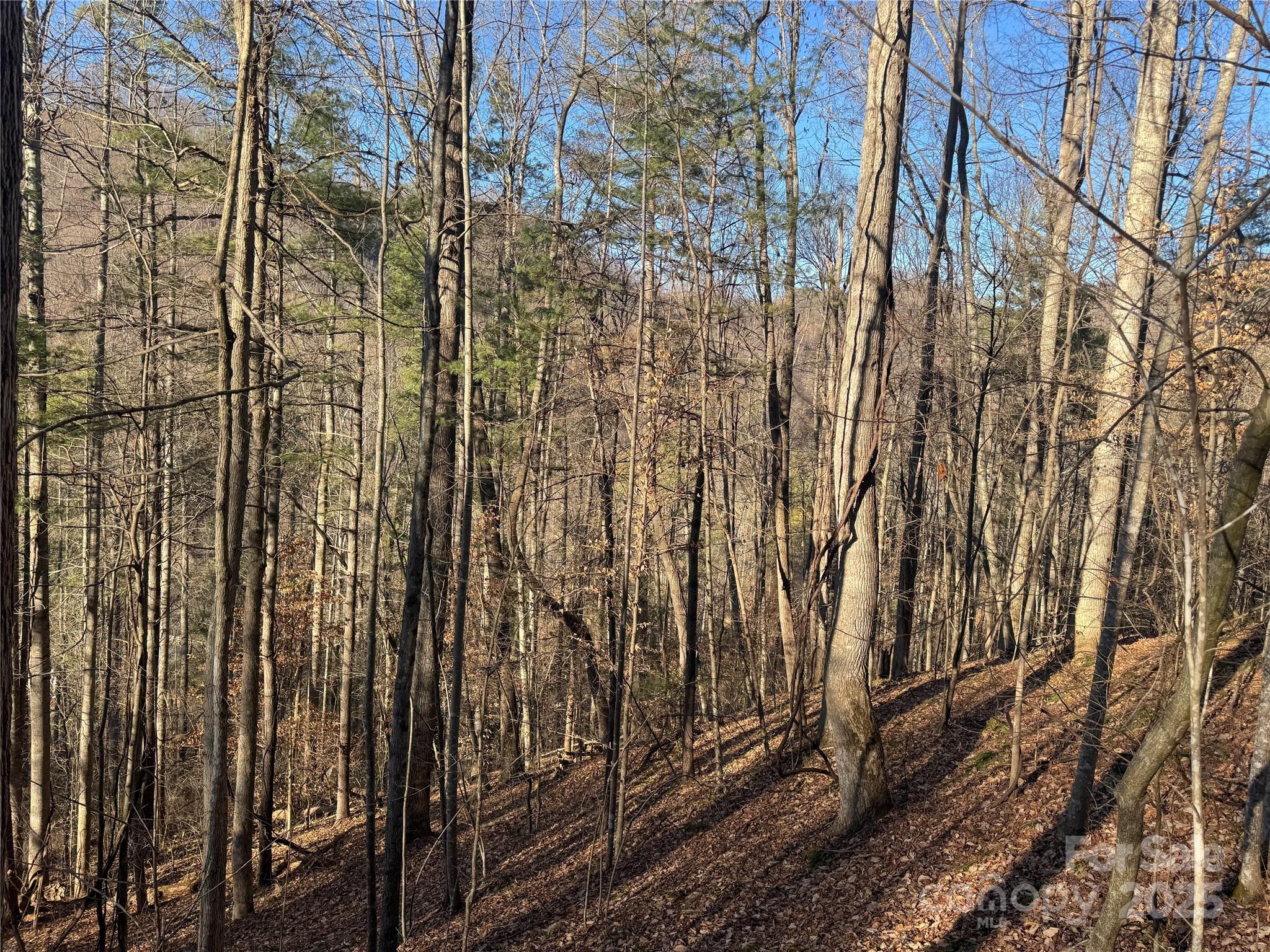 Tbd Timberside Drive Mars Hill NC 28754