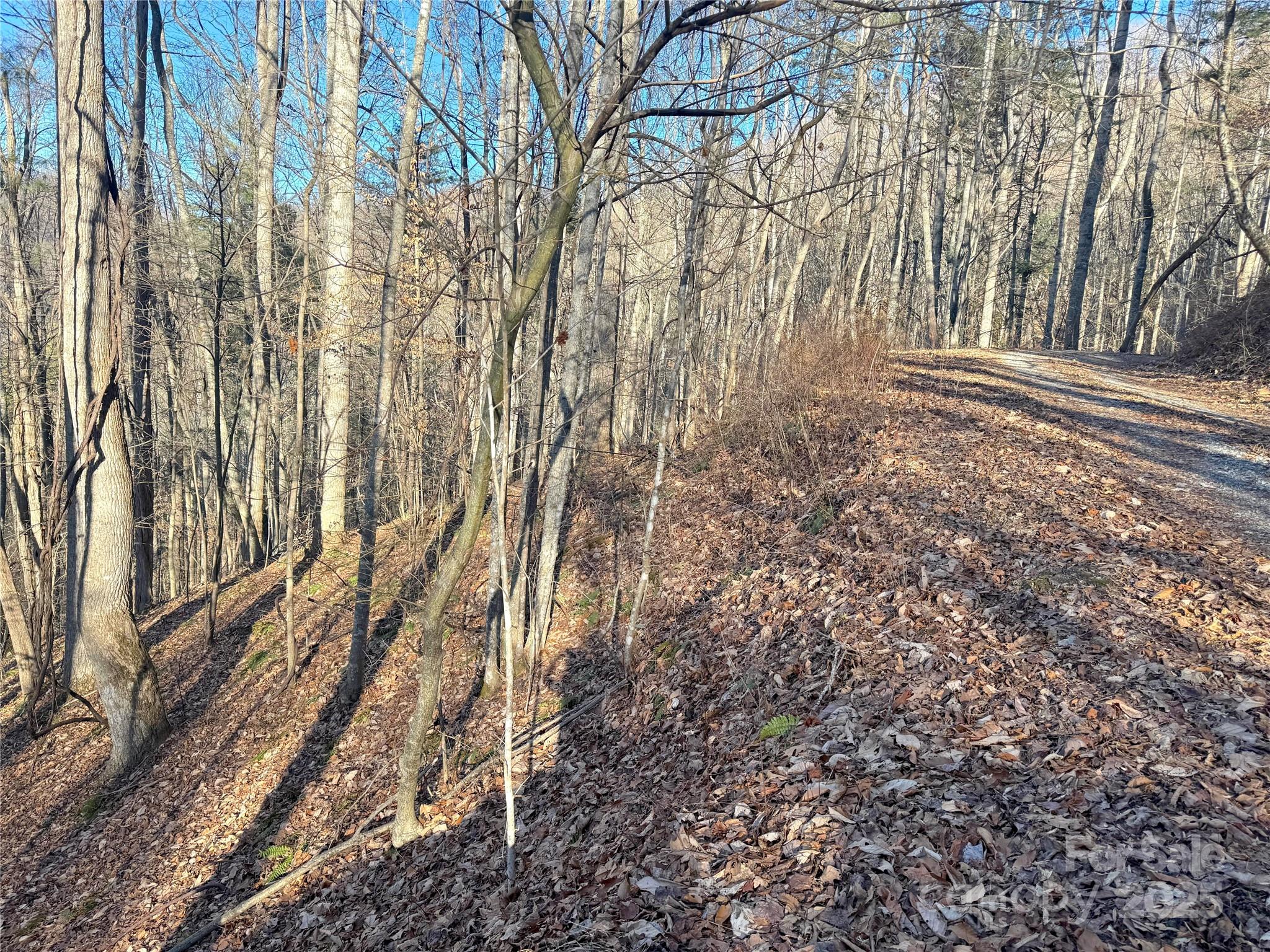 Tbd Timberside Drive Mars Hill NC 28754