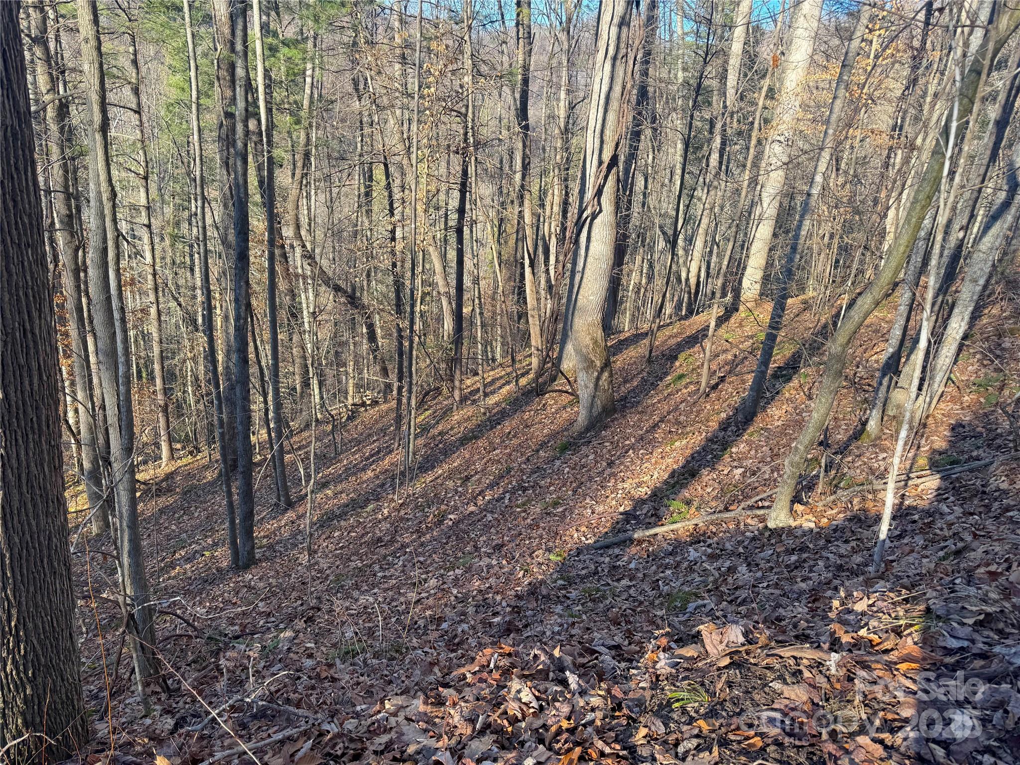 Tbd Timberside Drive Mars Hill NC 28754