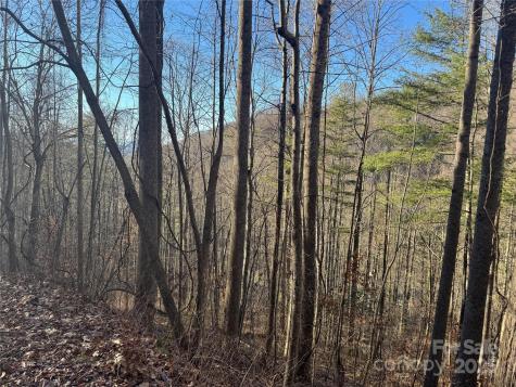 Tbd Timberside Drive Mars Hill NC 28754
