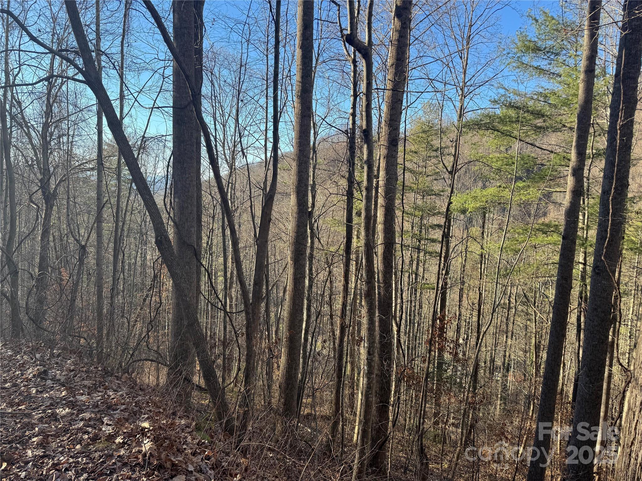 Tbd Timberside Drive Mars Hill NC 28754