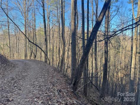 Tbd Timberside Drive Mars Hill NC 28754
