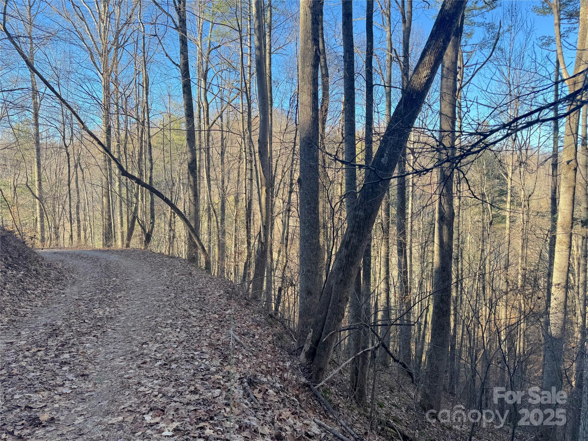 Tbd Timberside Drive Mars Hill NC 28754