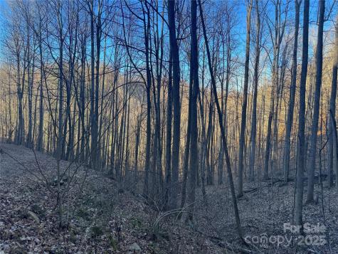 Tbd Timberside Drive Mars Hill NC 28754