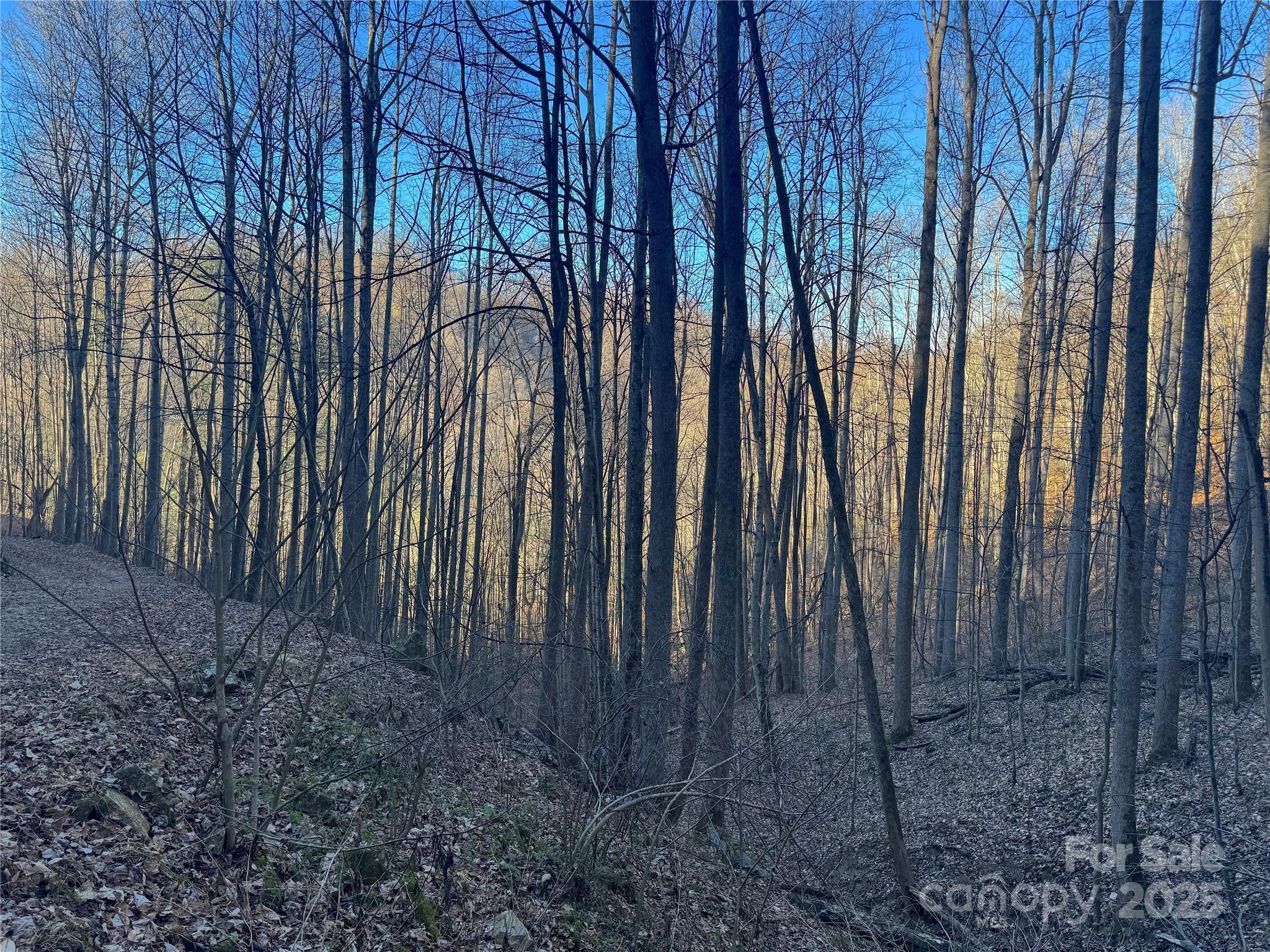 Tbd Timberside Drive Mars Hill NC 28754