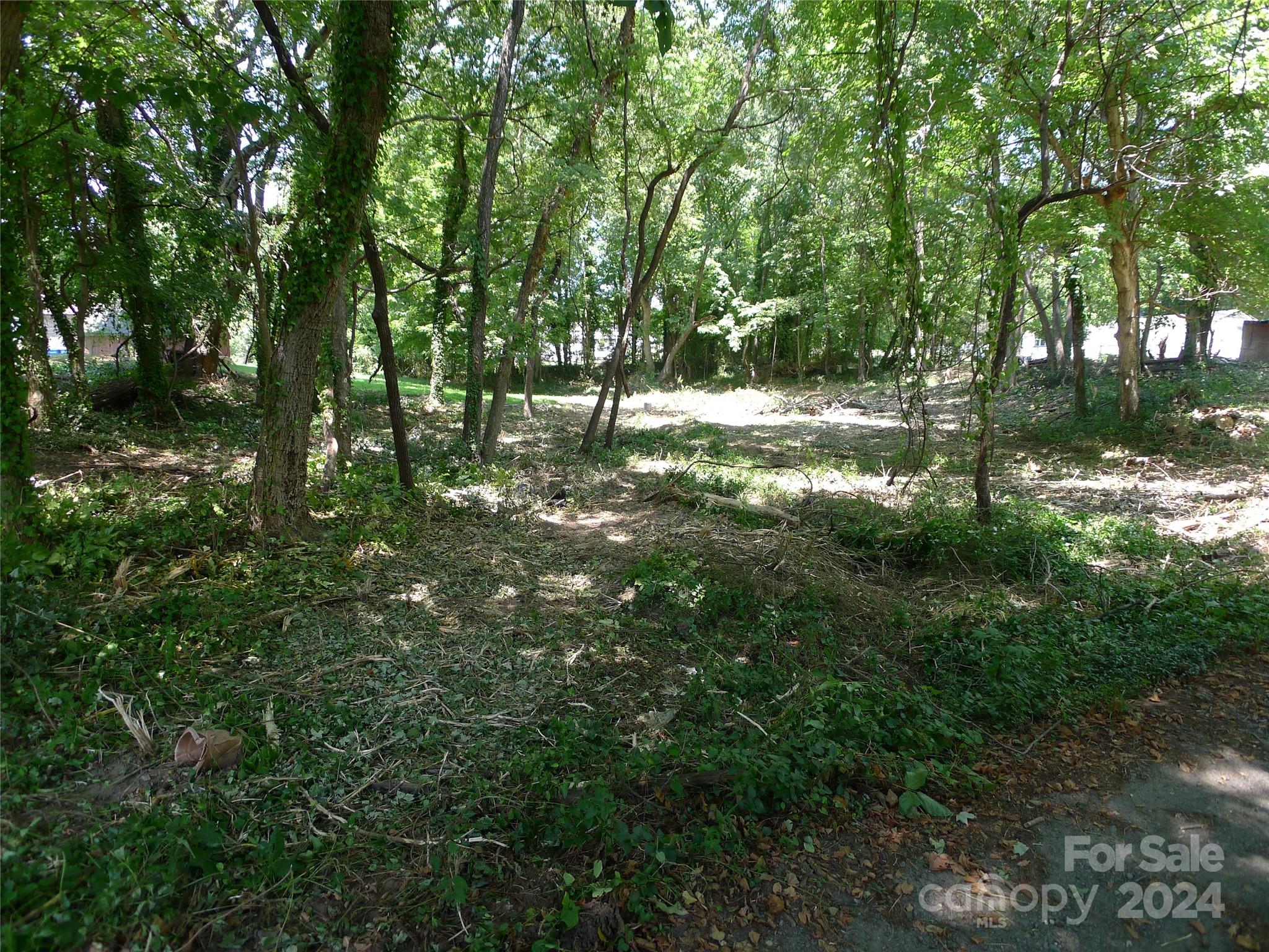 351 Honeysuckle Street Mocksville NC 27028