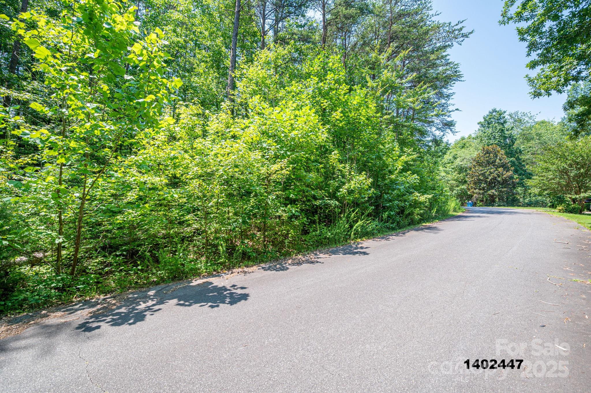 00 Washburn Lane Rutherfordton NC 28139