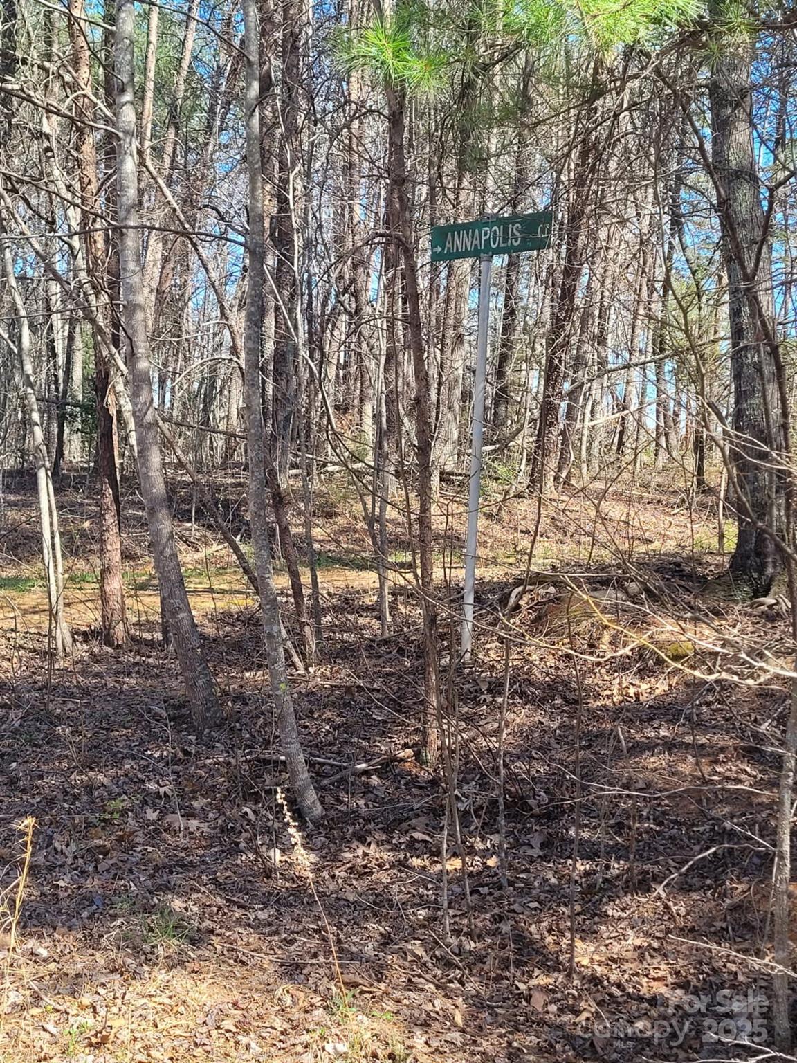 00 Washburn Lane Rutherfordton NC 28139