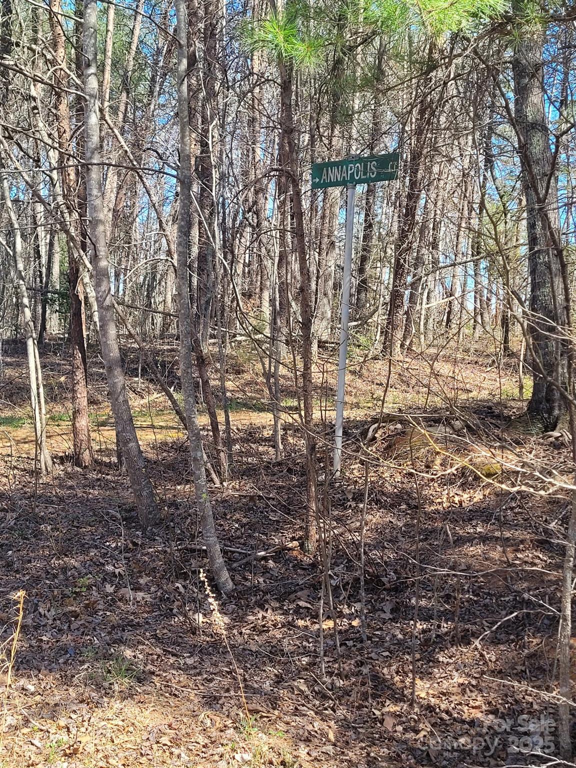00 Washburn Lane Rutherfordton NC 28139