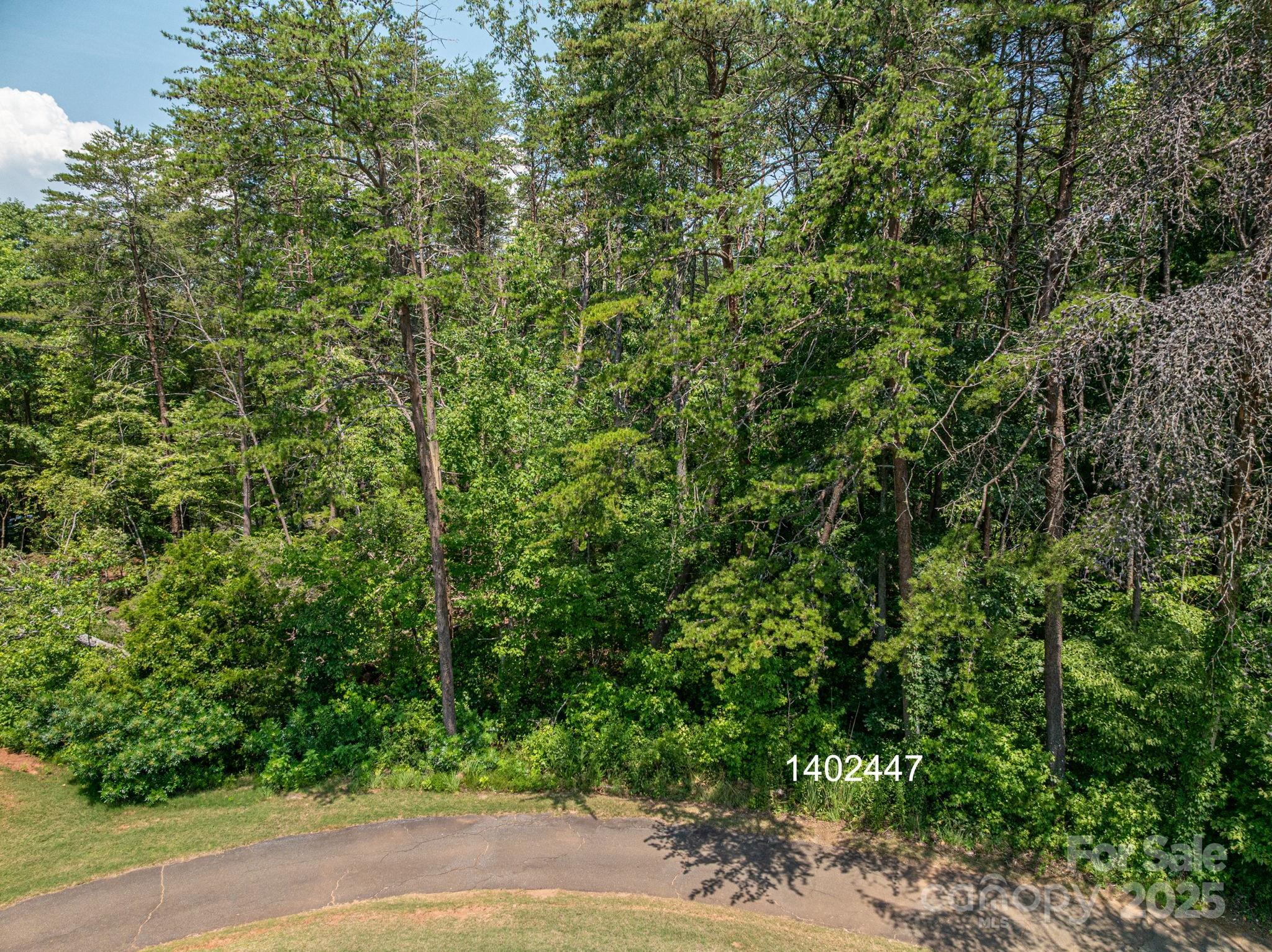 00 Washburn Lane Rutherfordton NC 28139