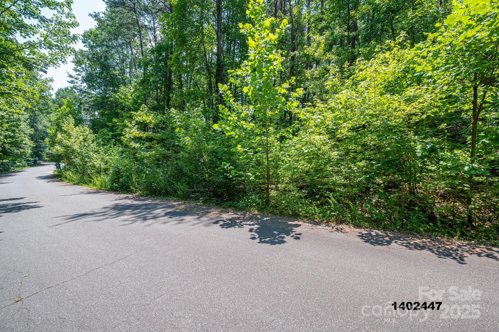 00 Washburn Lane Rutherfordton NC 28139