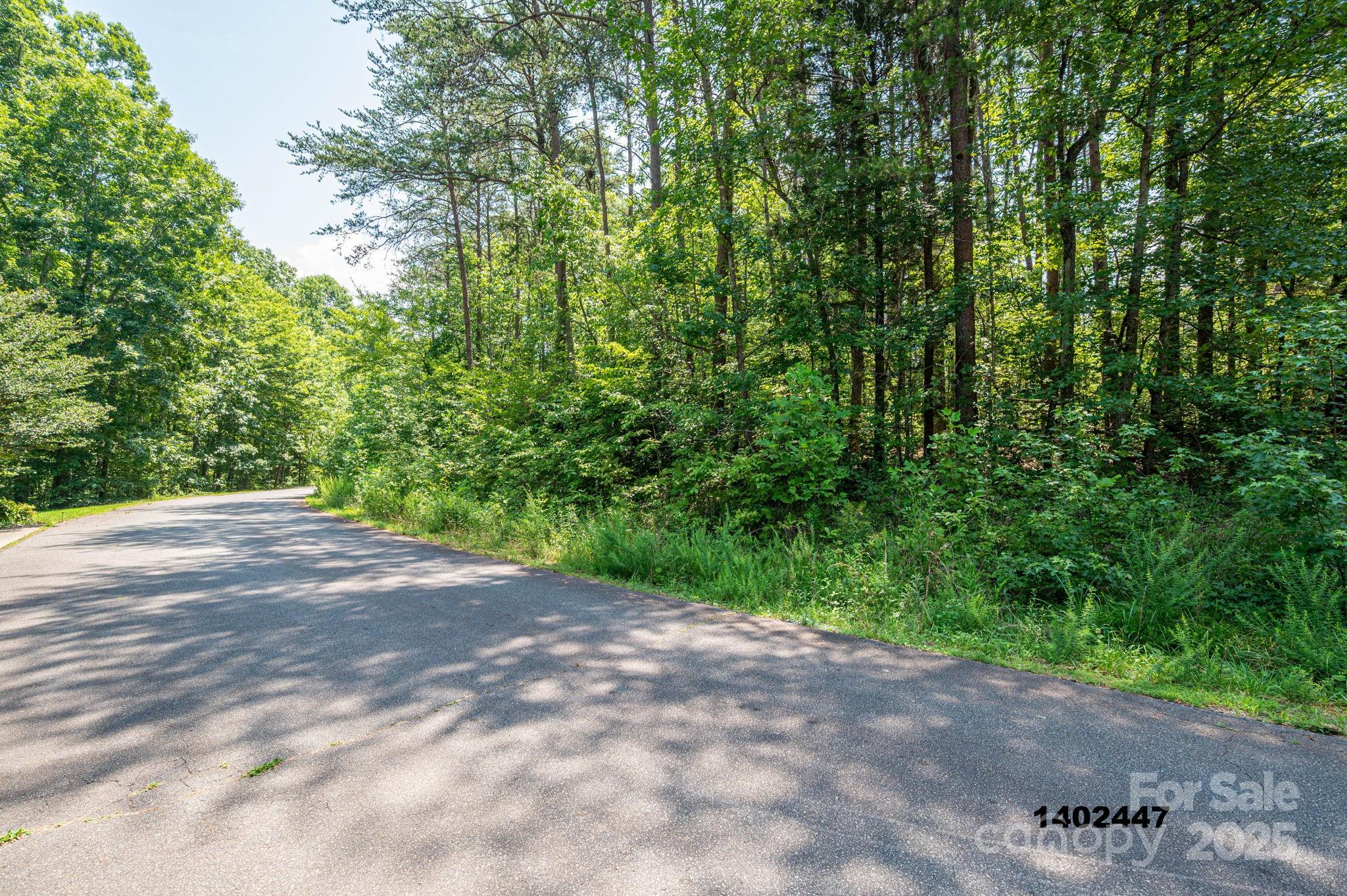 00 Washburn Lane Rutherfordton NC 28139