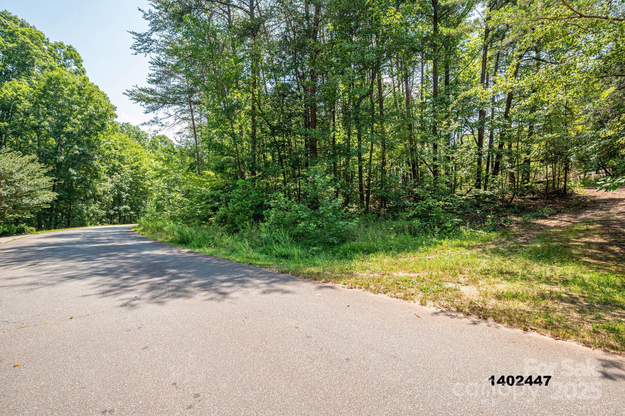 00 Washburn Lane Rutherfordton NC 28139