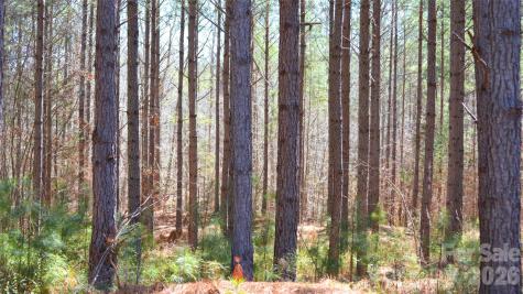 00 Bobby Faucette Road Jonesville SC 29353