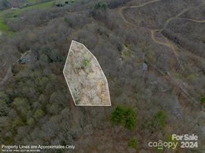 0000 Minerva Drive Waynesville NC 28785