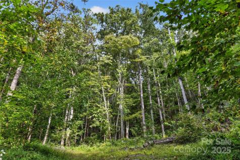 99999 Blue Ridge Drive S Marion NC 28752
