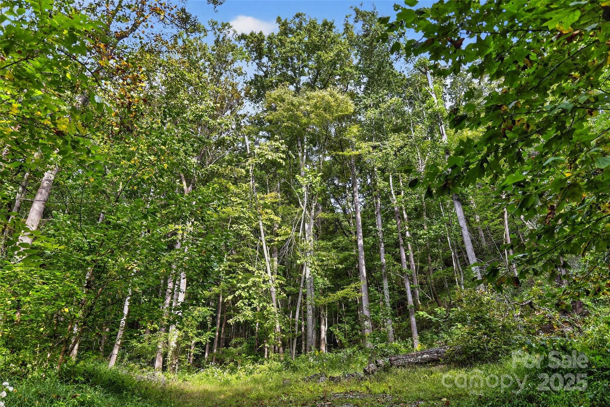 99999 Blue Ridge Drive S Marion NC 28752