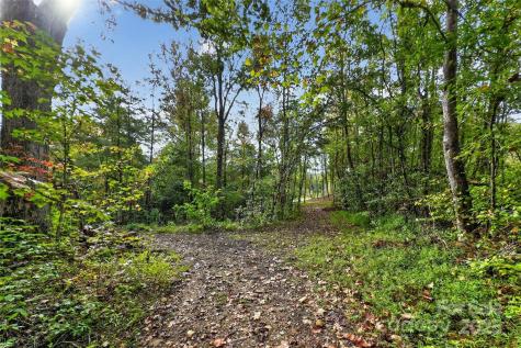 99999 Blue Ridge Drive S Marion NC 28752