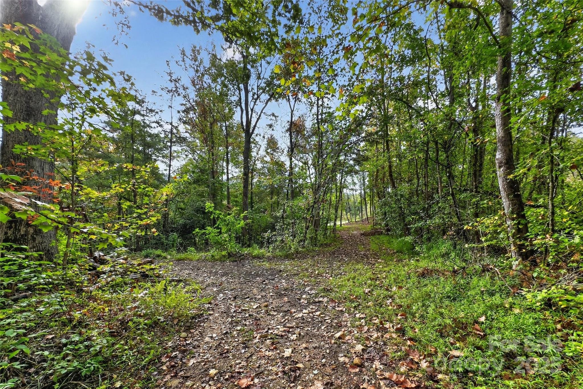 99999 Blue Ridge Drive S Marion NC 28752