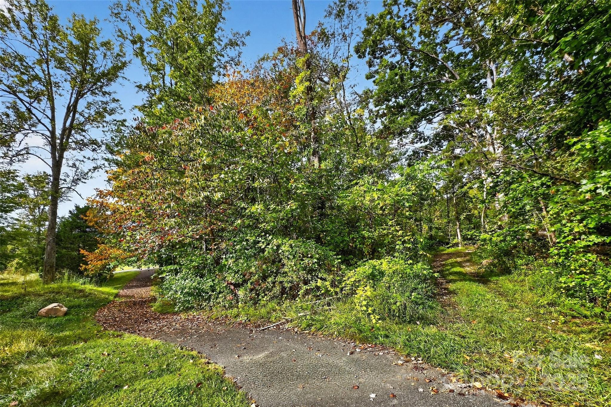 99999 Blue Ridge Drive S Marion NC 28752