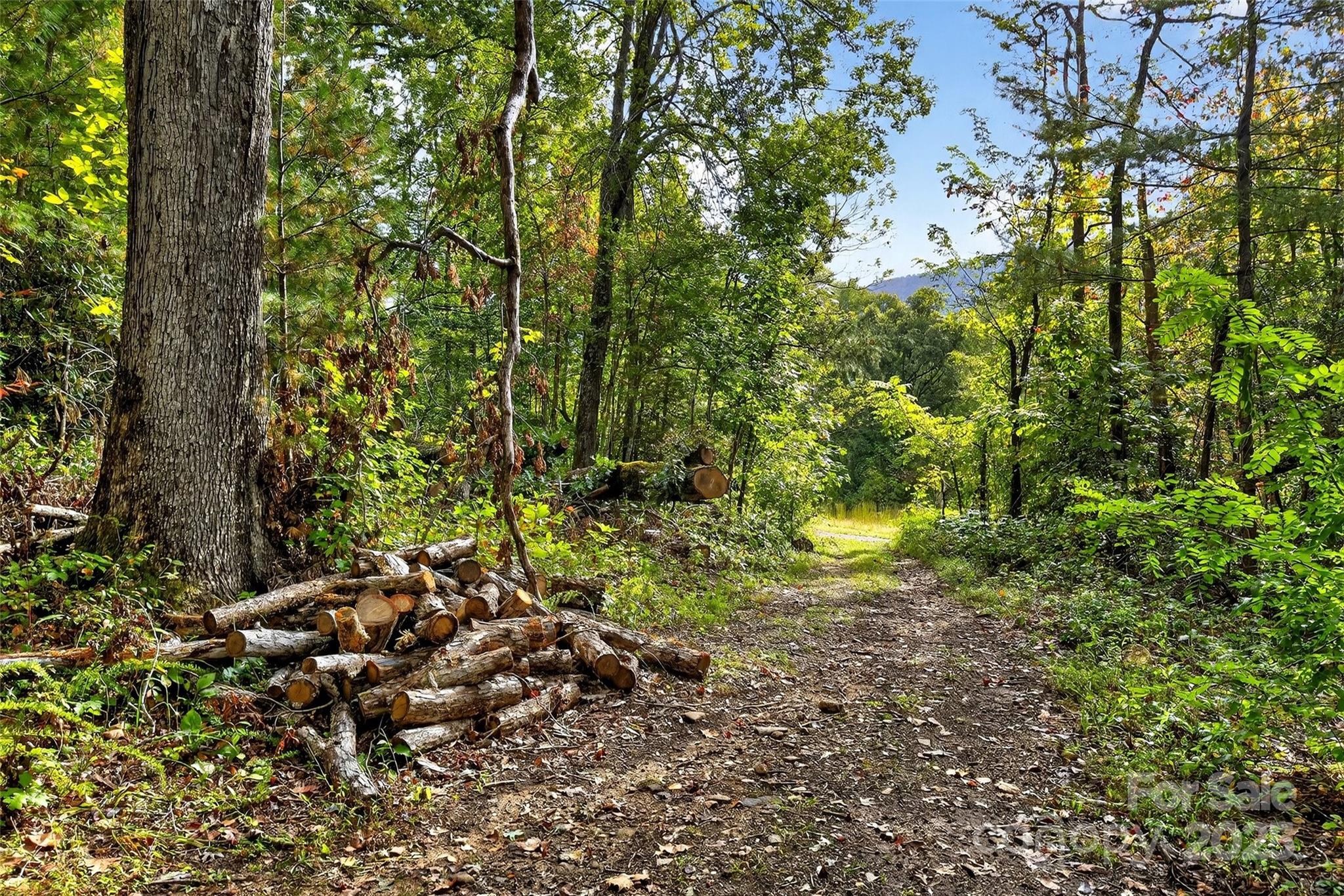 99999 Blue Ridge Drive S Marion NC 28752