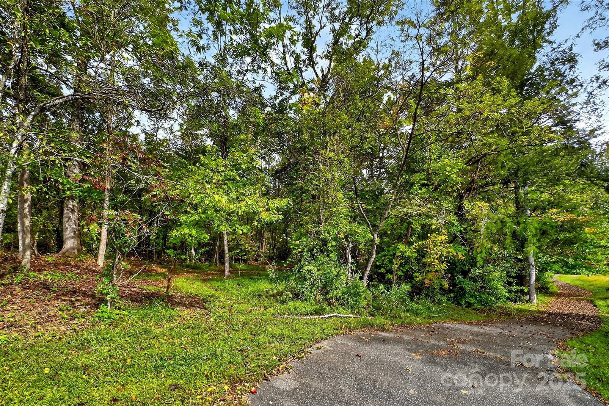 99999 Blue Ridge Drive S Marion NC 28752