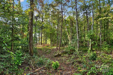 99999 Blue Ridge Drive S Marion NC 28752