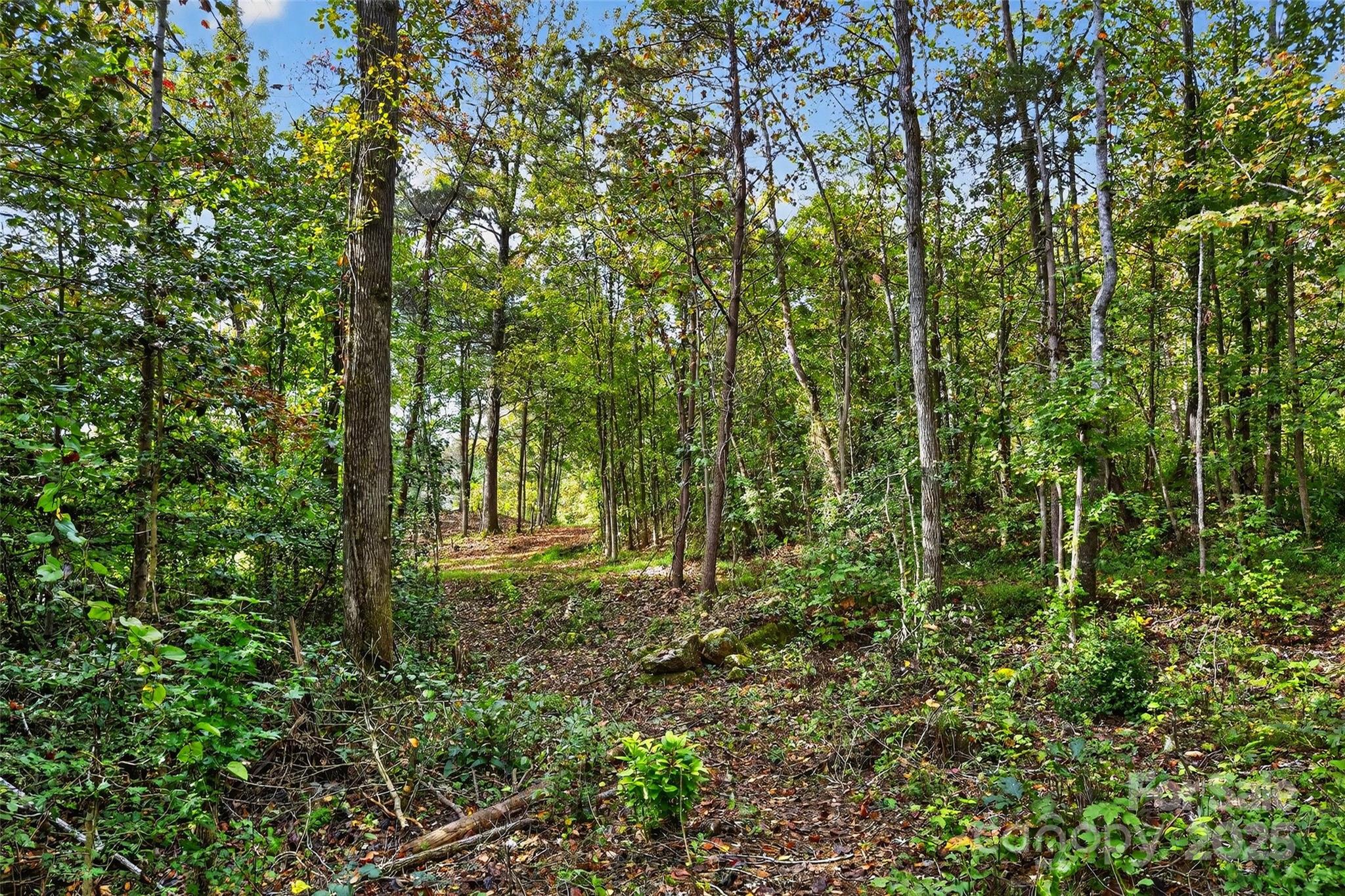 99999 Blue Ridge Drive S Marion NC 28752