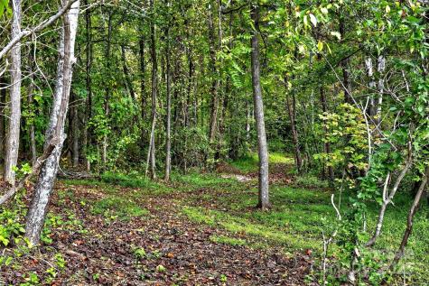 99999 Blue Ridge Drive S Marion NC 28752