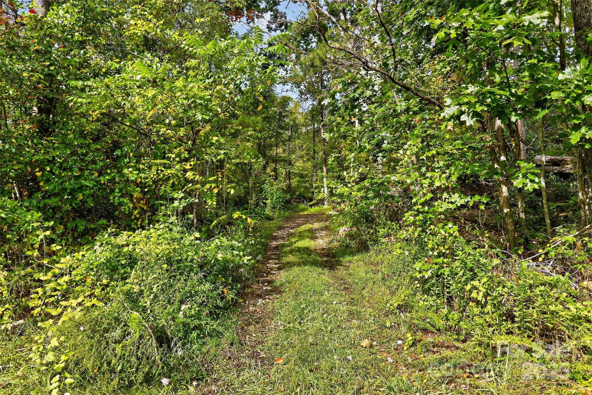 99999 Blue Ridge Drive S Marion NC 28752
