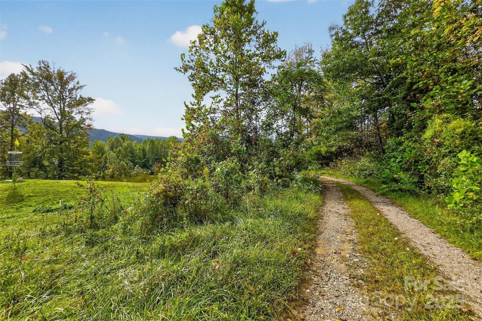 99999 Blue Ridge Drive S Marion NC 28752