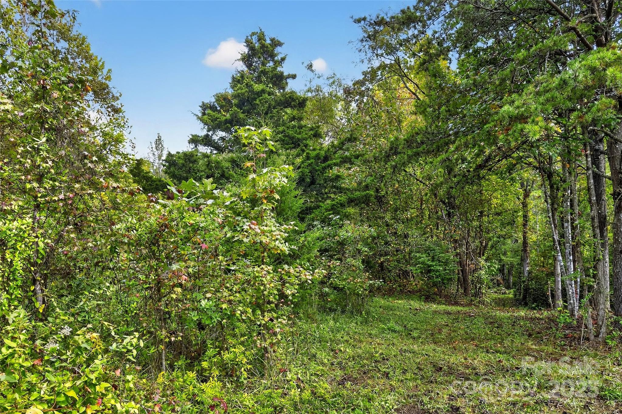 99999 Blue Ridge Drive S Marion NC 28752