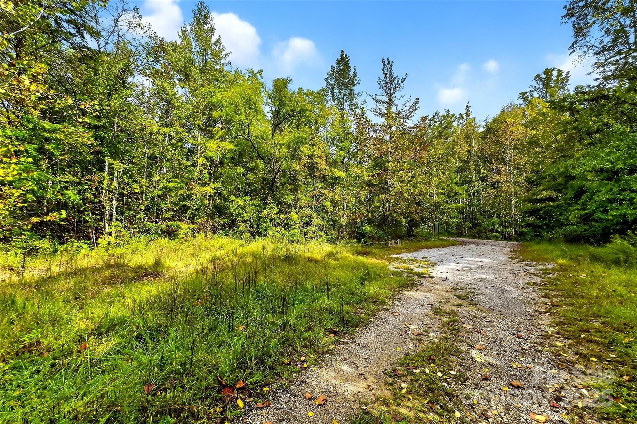 99999 Blue Ridge Drive S Marion NC 28752