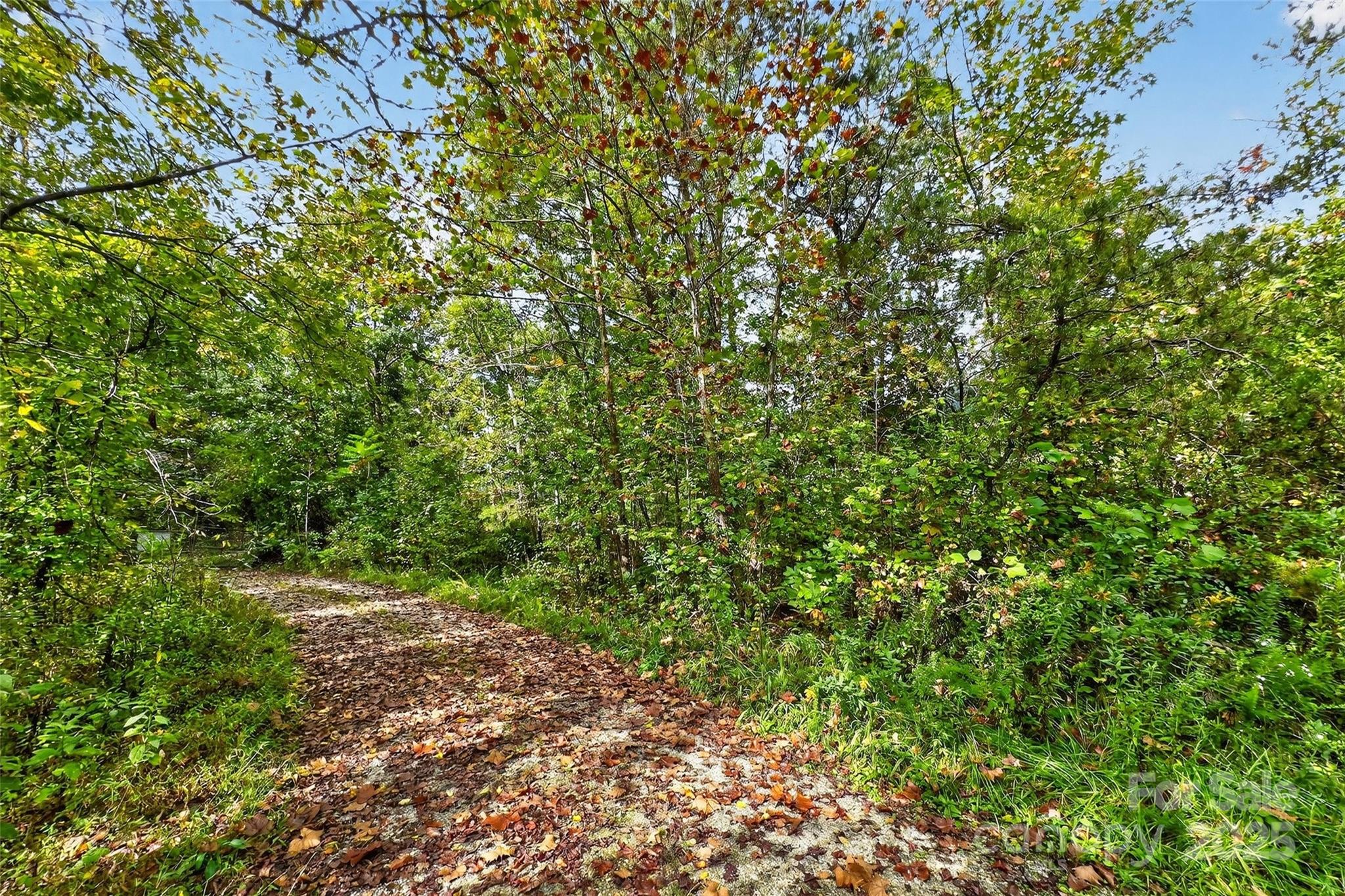 99999 Blue Ridge Drive S Marion NC 28752