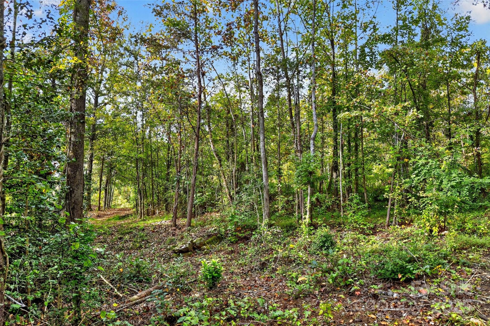 99999 Blue Ridge Drive S Marion NC 28752
