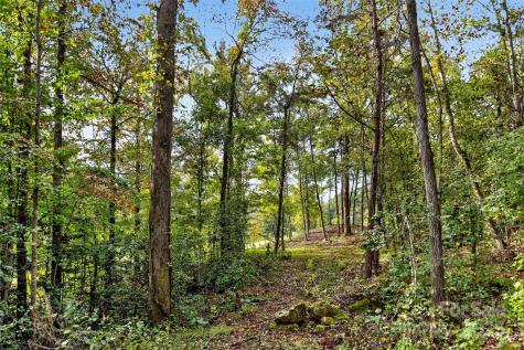 99999 Blue Ridge Drive S Marion NC 28752