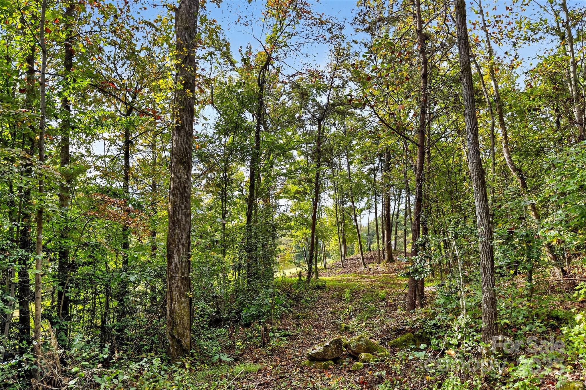 99999 Blue Ridge Drive S Marion NC 28752